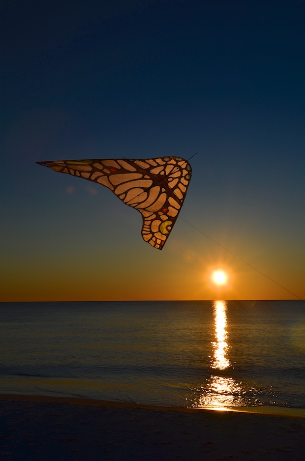 ColorWing Morpho Glider over the Gulf of Mexico, flown by Ruth Whiting, photo by Tim Elverston