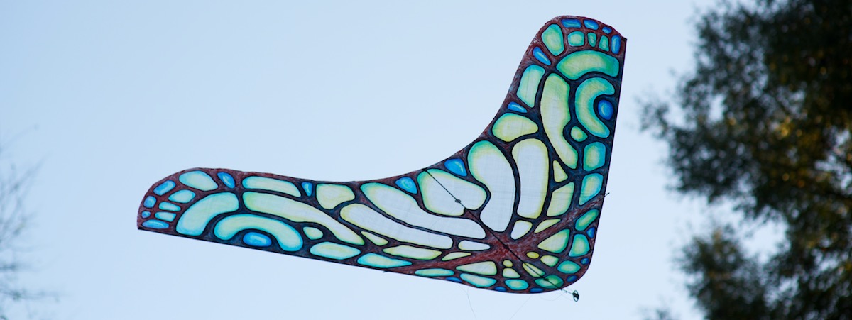 Morpho Glider made for Jose Sainz by WindFire Designs