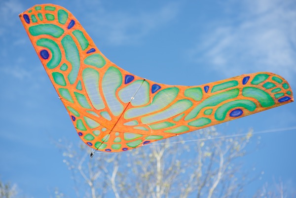 Oil painted morpho glider kite - front light