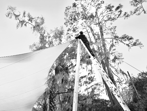 Tim adjusting a rainshade on a tall ladder against trees as a backdrop