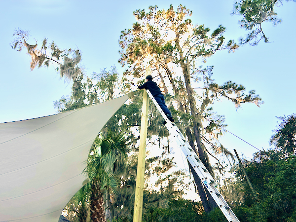 Tim adjusting a rainshade on a tall ladder against trees as a backdrop
