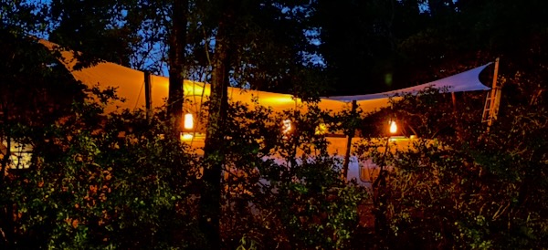 lights above airstream rv with shade sail above that tucked into trees - WindFire Designs