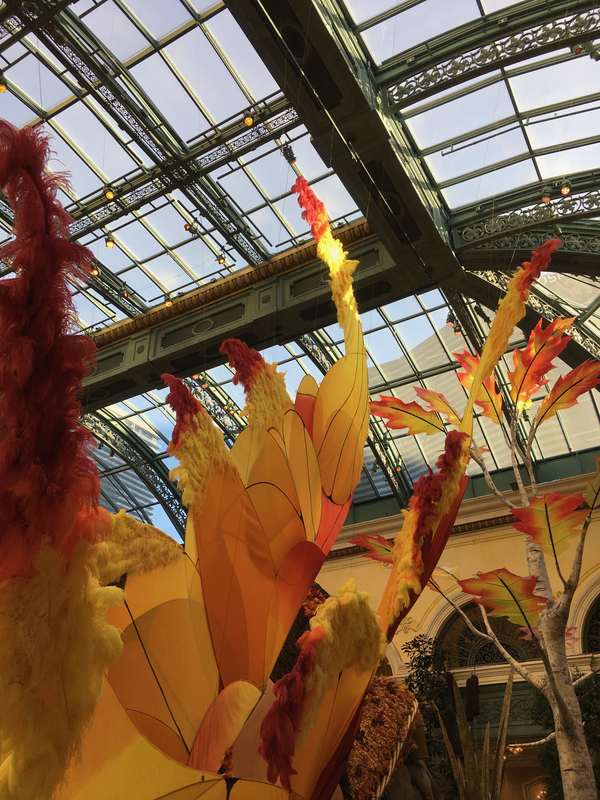 Image 1 from Bellagio Fairy Wings Installed