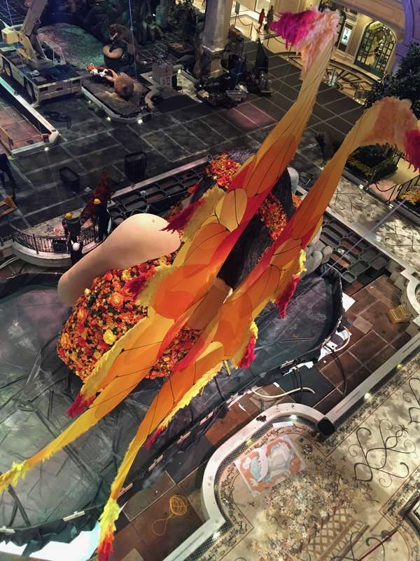 Image 42 from Giant Fairy Wings for the Bellagio Las Vegas by Windfire Designs