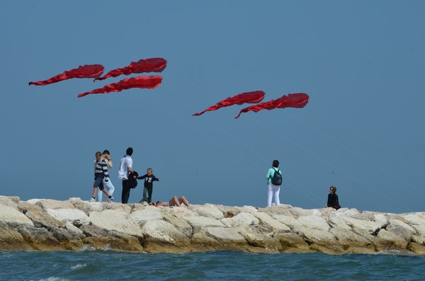 Image 1 from Windfire Designs Venice 2011 Flowx kites by Tim Elverston and Ruth Whiting