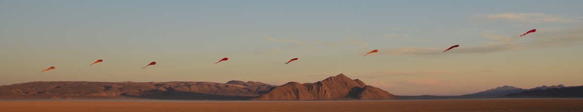 Flowx silk kite installation in the desert by Ruth Whiting and Tim Elverston