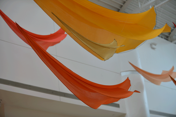 Flowx kites hanging in the Harn Museum