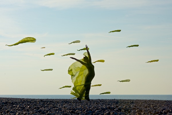 Dieppe France and Ruth Whiting with kites  Flowx on the rock beach