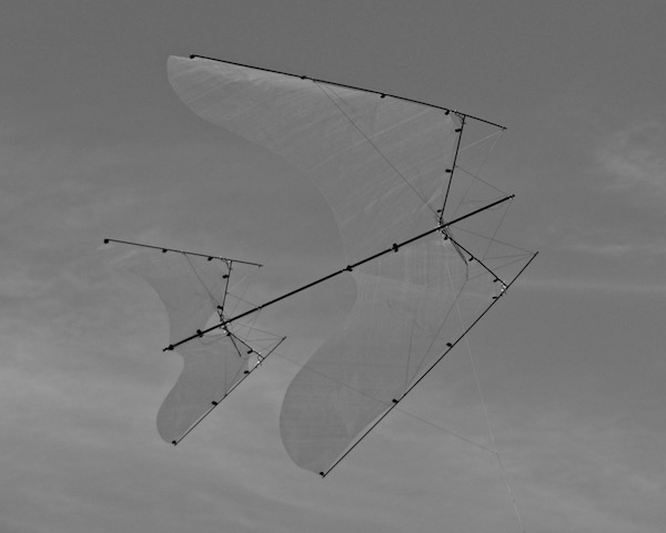 Bone kite by Tim Elverston