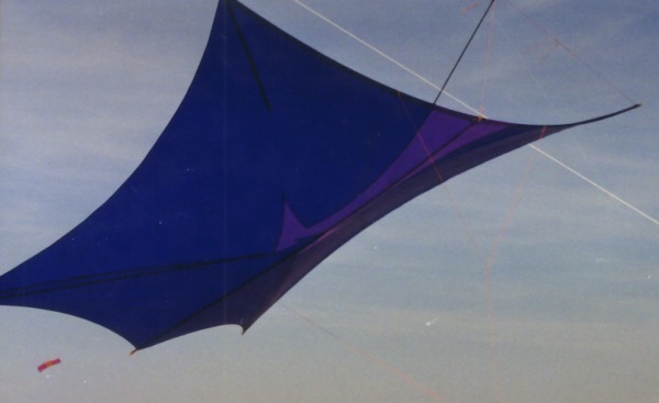 Direction kite by Tim Elverston