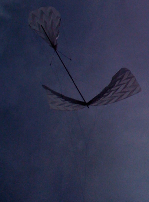Origami kite by Tim Elverston