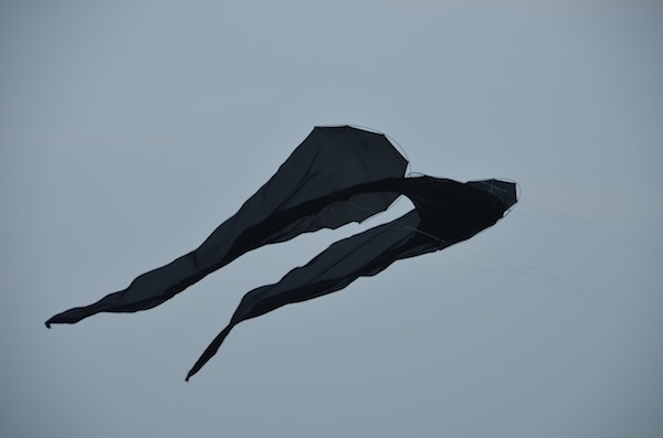 silk quadline kite by Tim Elverston based on the single link flowx kite