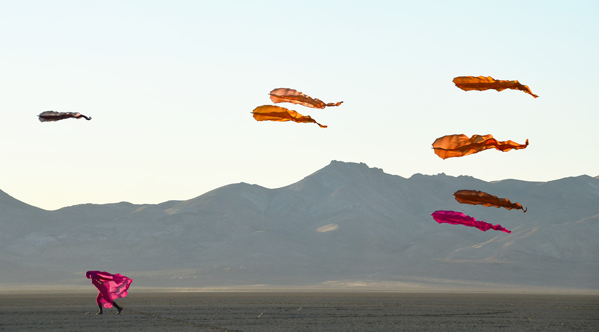 Flowx — Ridgeline installation — Tim Elverston - Ruth Whiting