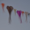 flowx silk kites