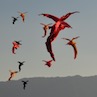 flowx silk kite design by tim elverston