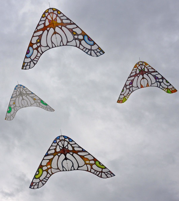 four colorwing morpho glider kites pained by Ruth Whiting and designed by Tim Elverston flying at anastasia beach florida