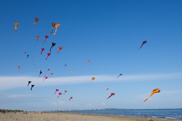 41 Flowx flying over Venice Lido - silk kites designed by Tim Elverston
