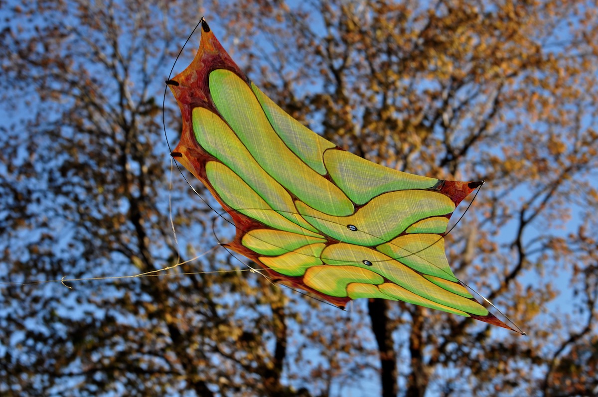 Mini Photon kite by Windfire Designs shown gliding under an oak tree