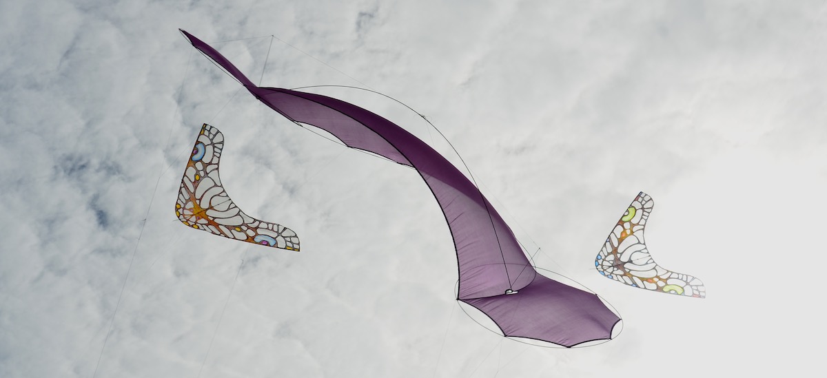 O2 Flame by Tim Elverston, a silk quadline kite, with two ColorWing Morphos